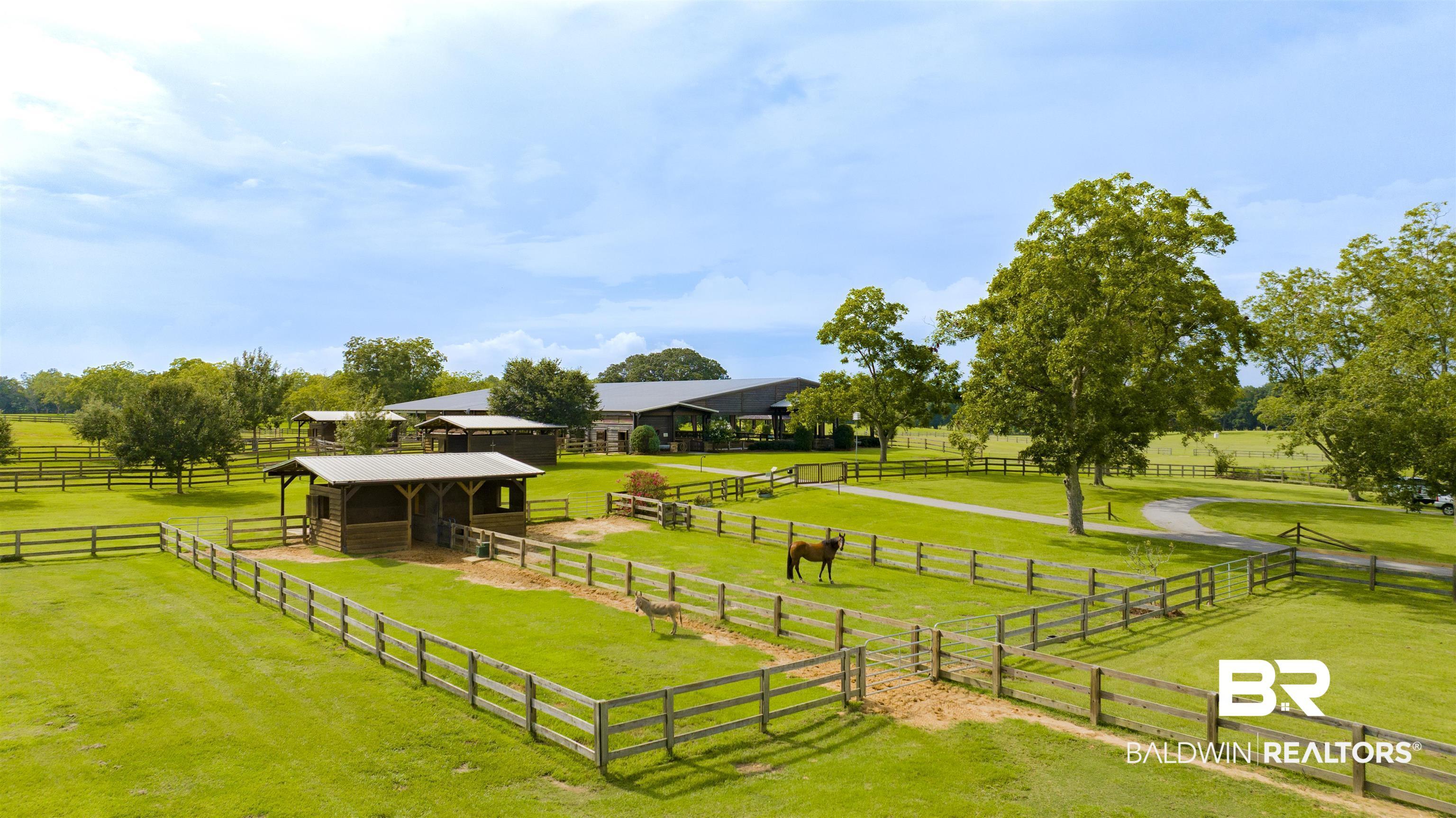 Image 3: View of stable