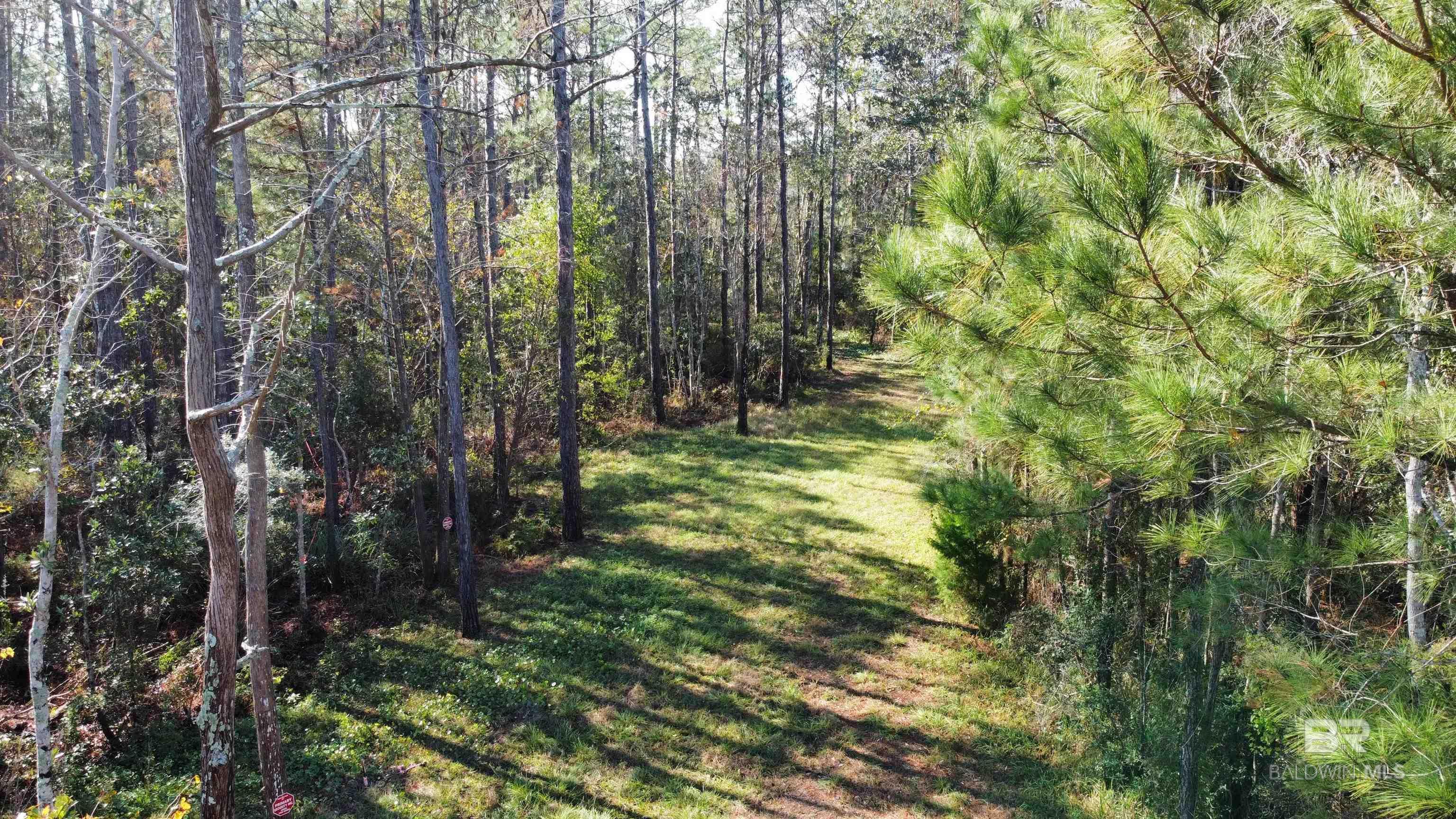 Image 4: View