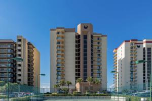24230 Perdido Beach Blvd