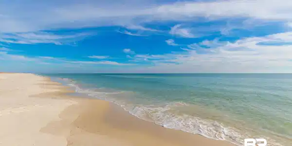 Image 2: Expansive sandy beach with calm ocean waters and a clear blue sky