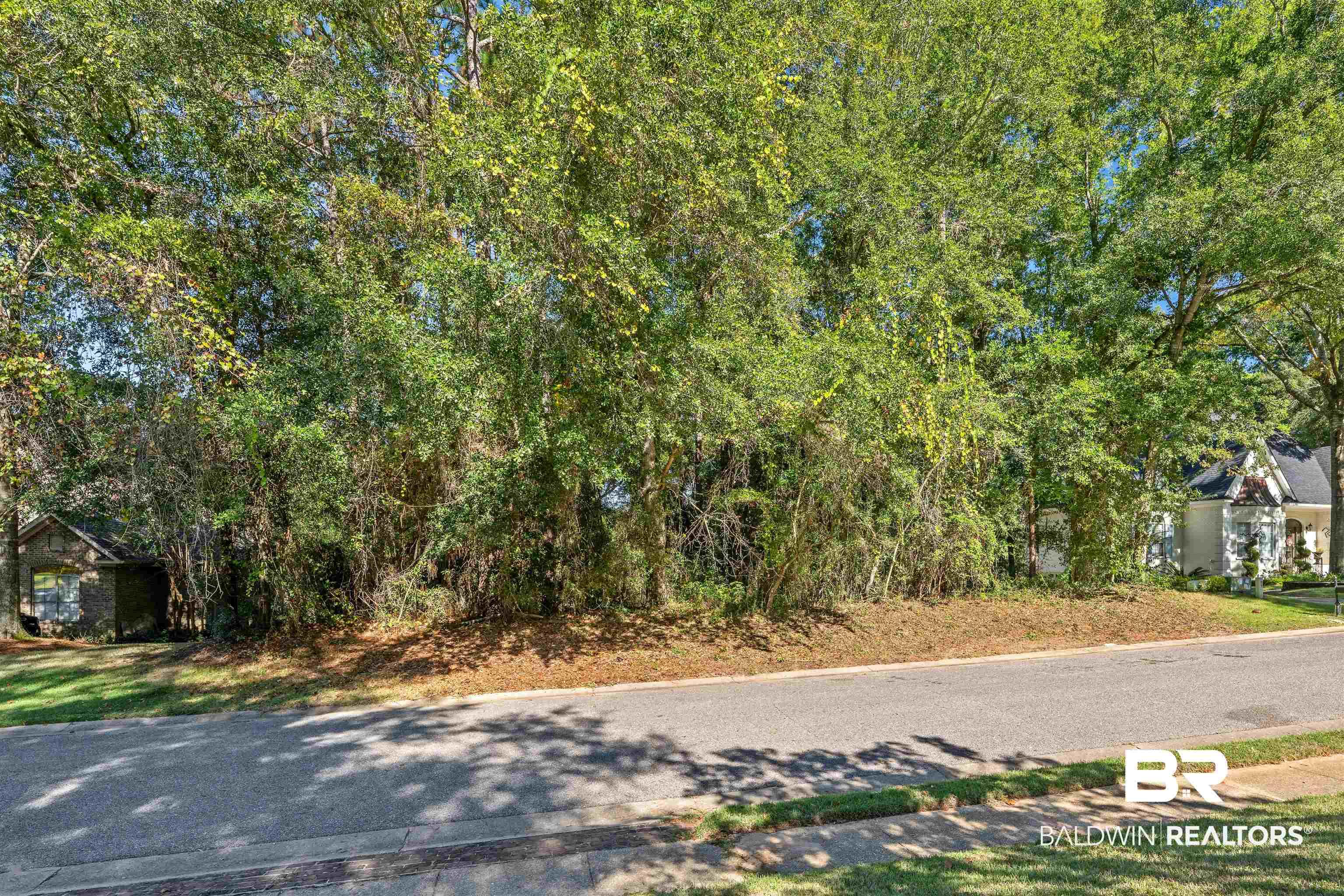 Image 2: View of asphalt road