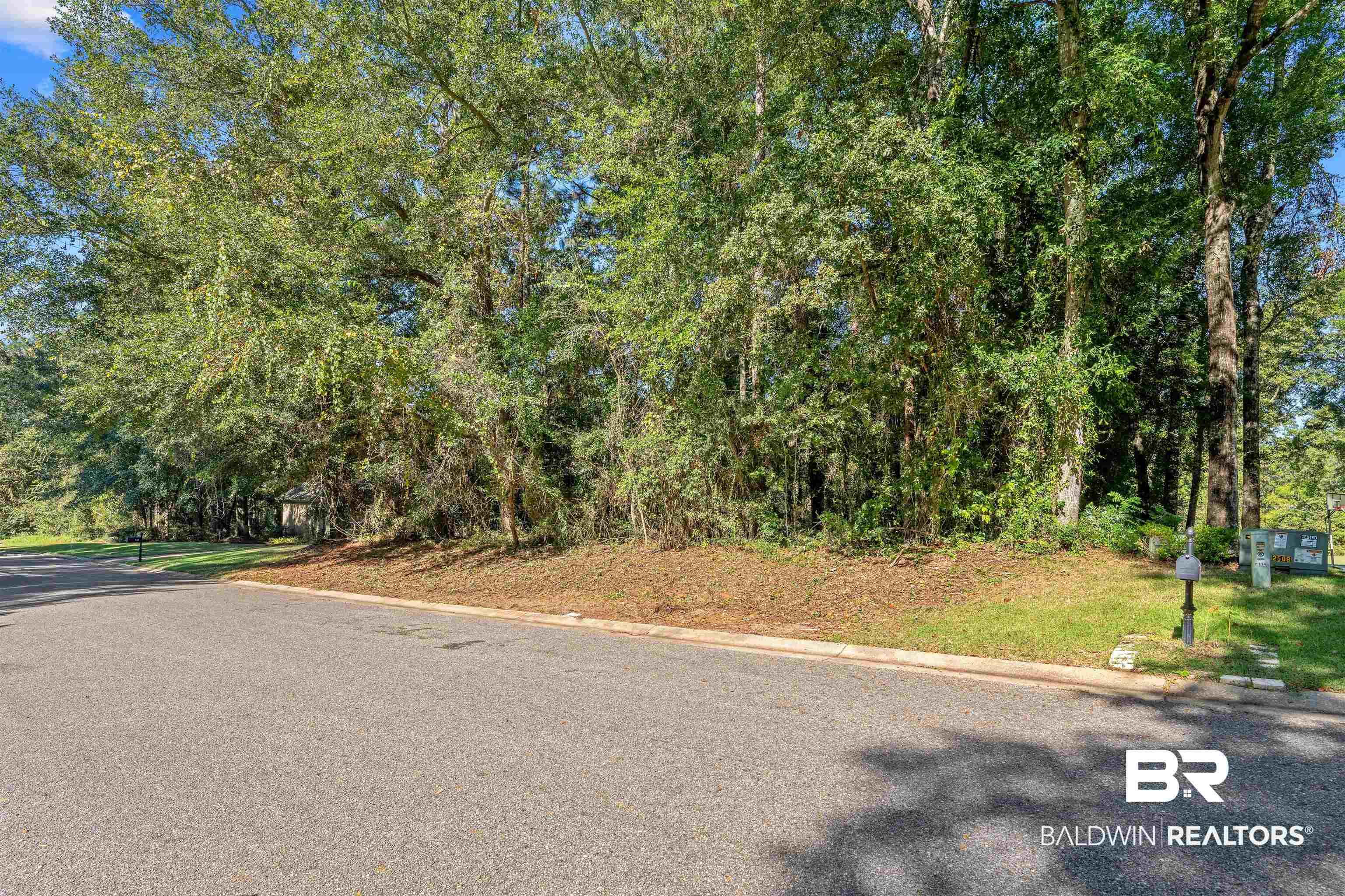 Image 4: View of asphalt road featuring curbs