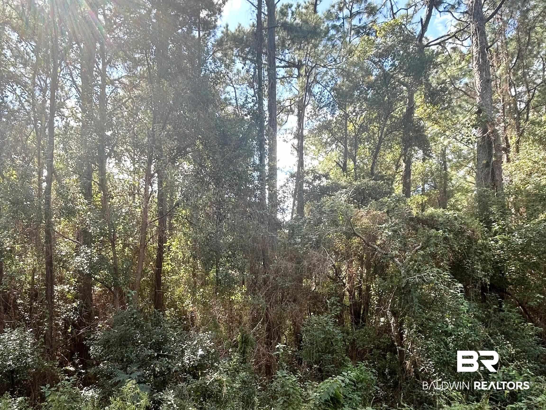 Image 3: View of wooded area