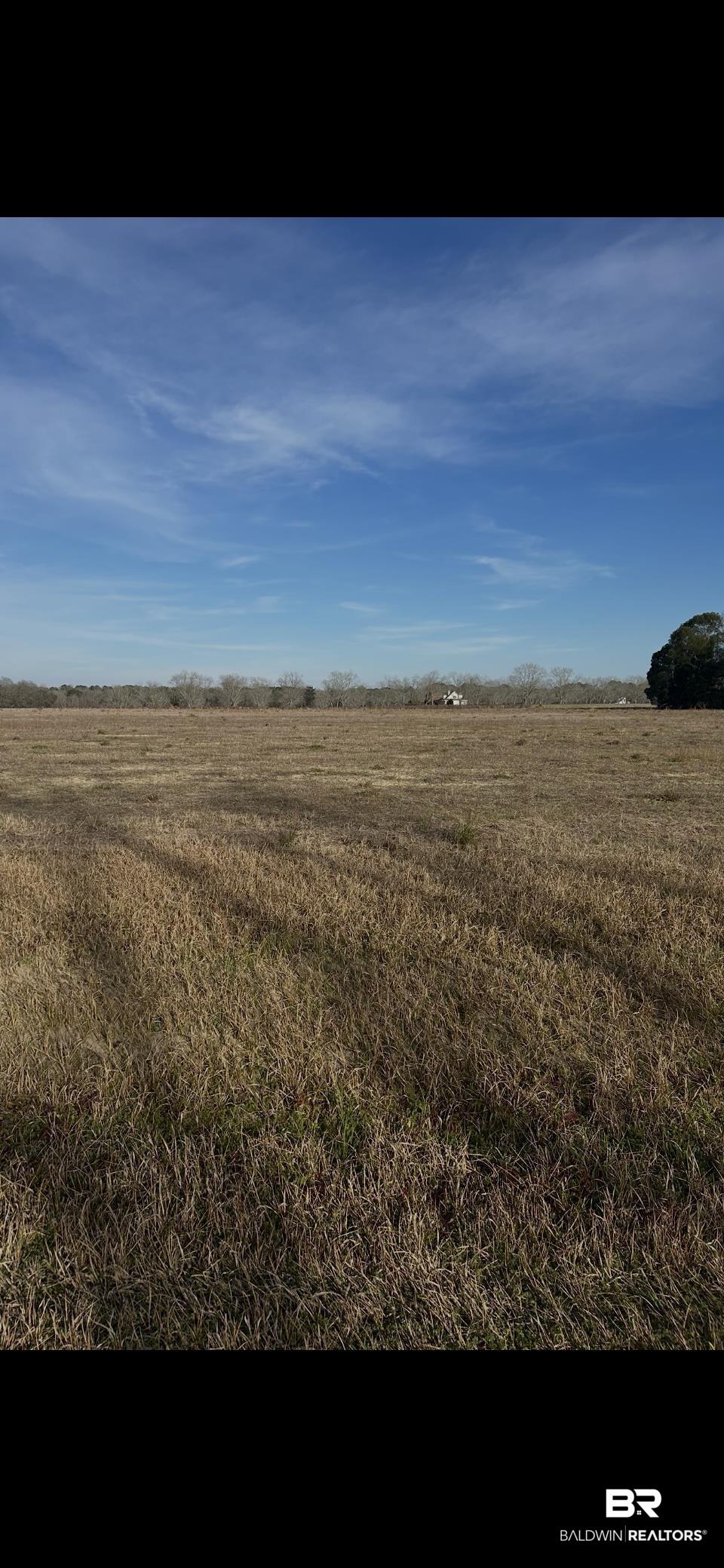 Image 3: View of local wilderness with rural landscape