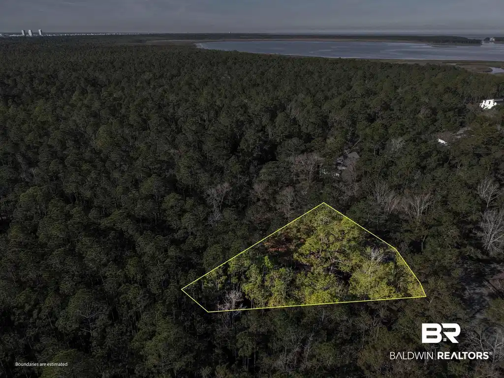 Image 1: Aerial overview of property's location featuring a forest and property boundaries highlighted