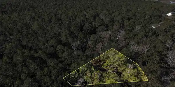 805 Mossy Oak Drive