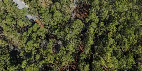 Image 4: Bird's eye view of a heavily wooded area