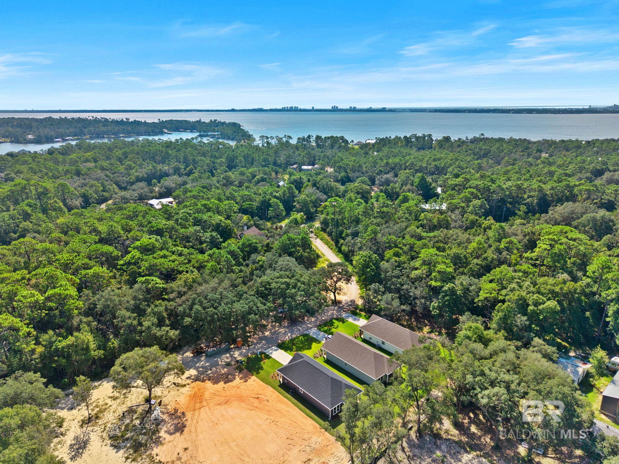 Image 3: Aerial View