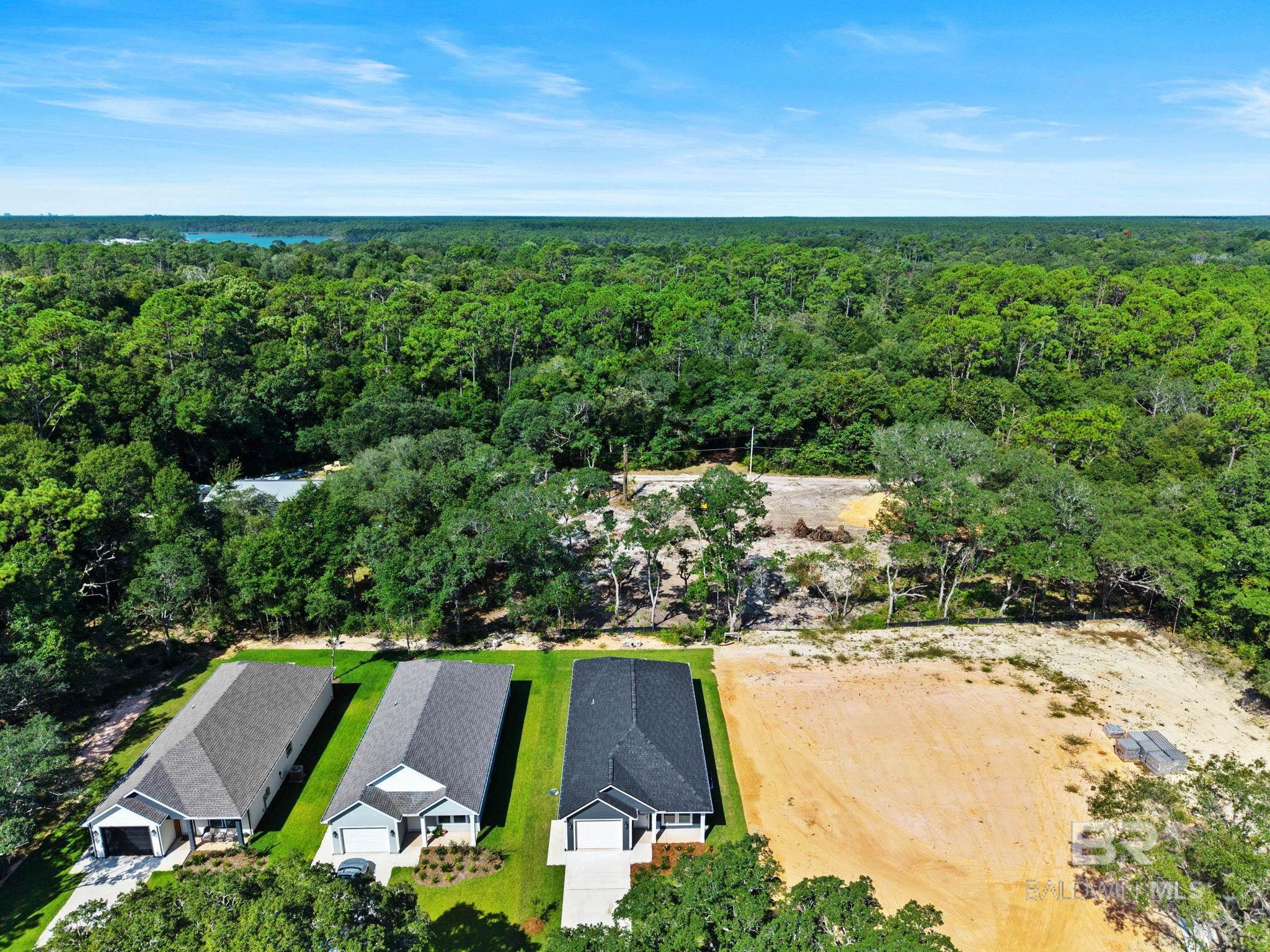 Image 4: Aerial View