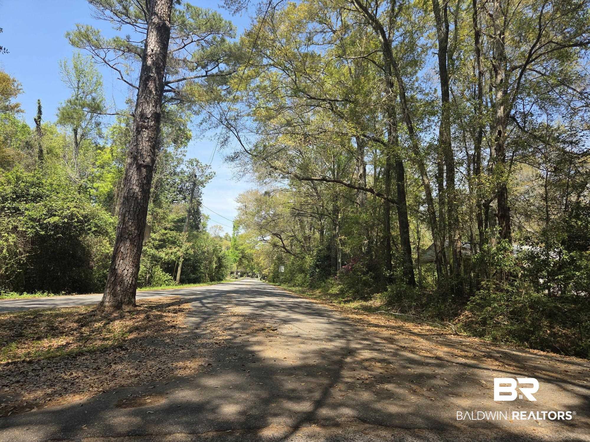 Image 2: View of asphalt road with a view of trees