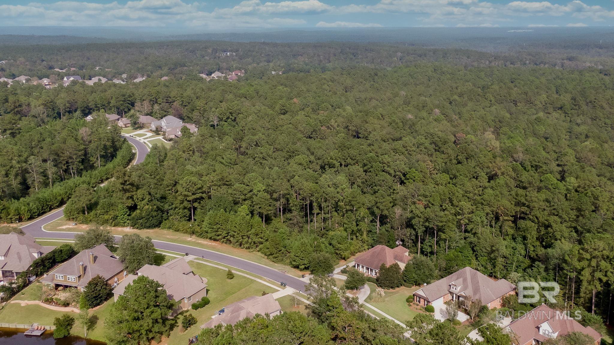 Image 4: Aerial View