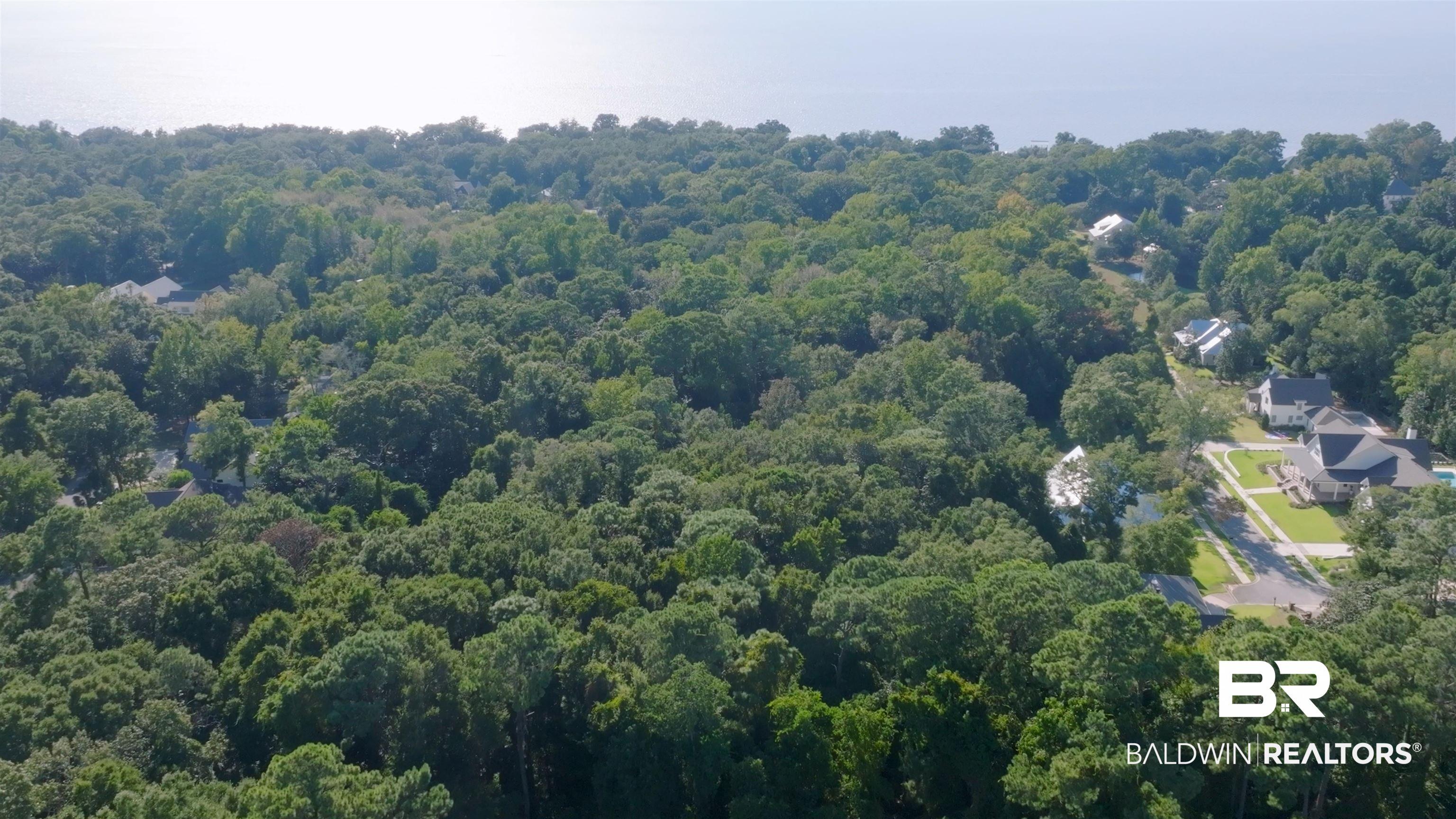 Image 3: Drone / aerial view of a forest