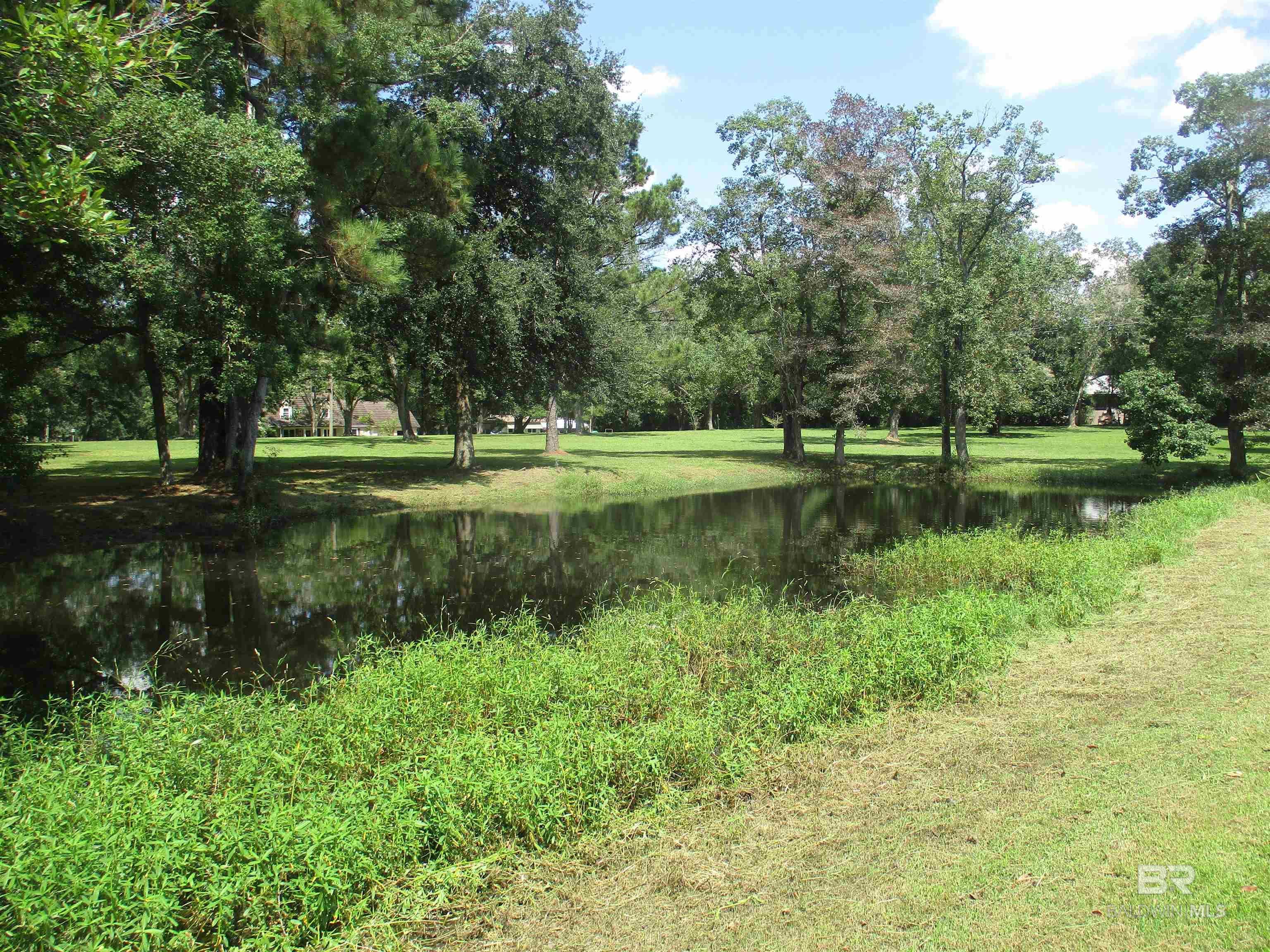 Image 3: View