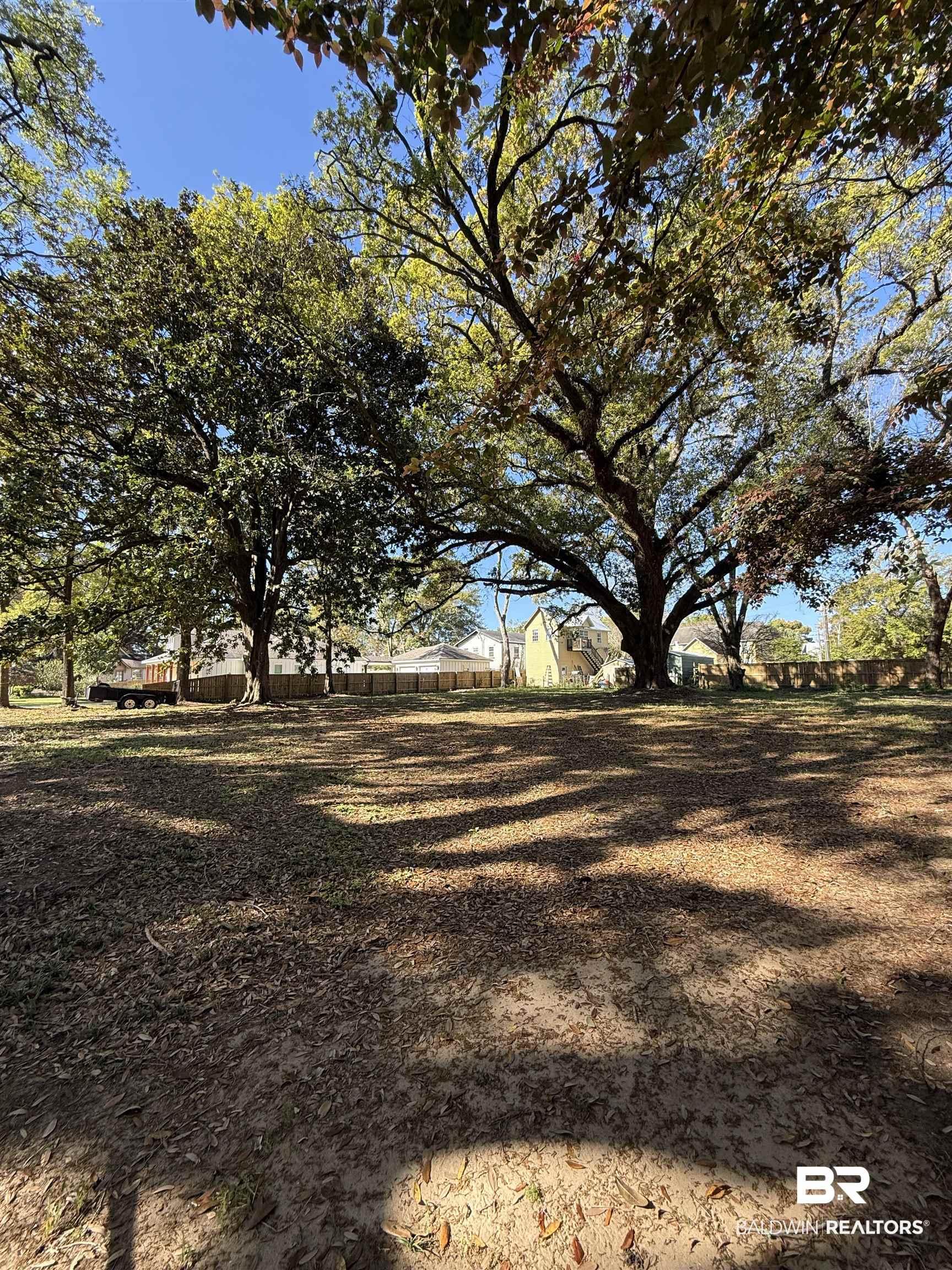 Image 3: View of yard