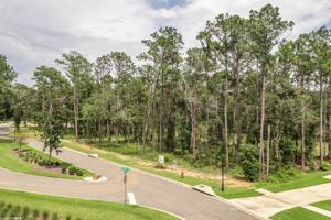 Lot 4 Petiole Drive