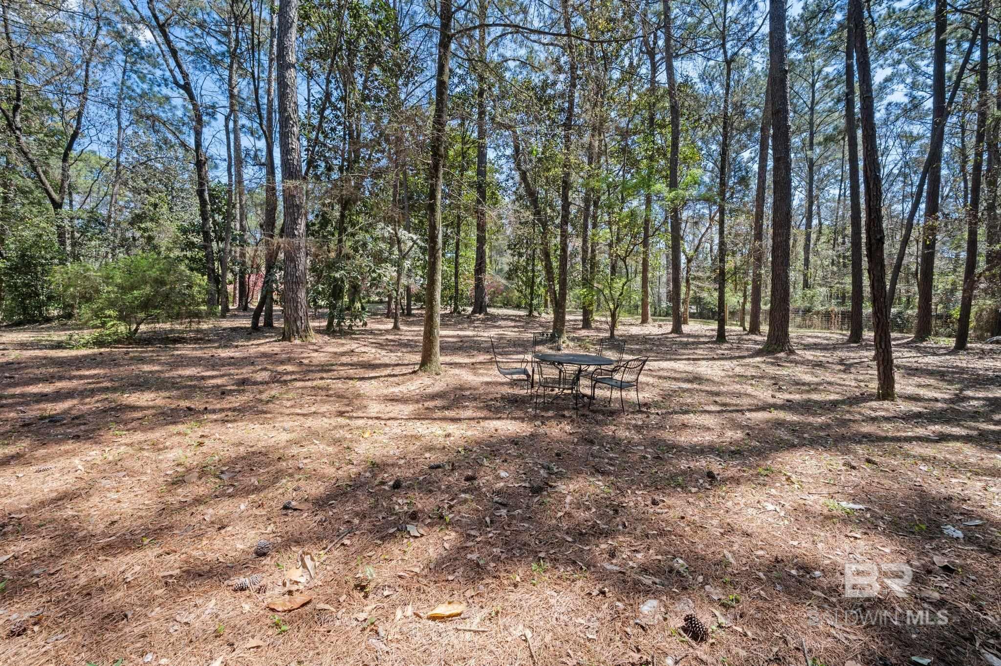 Image 3: Yard