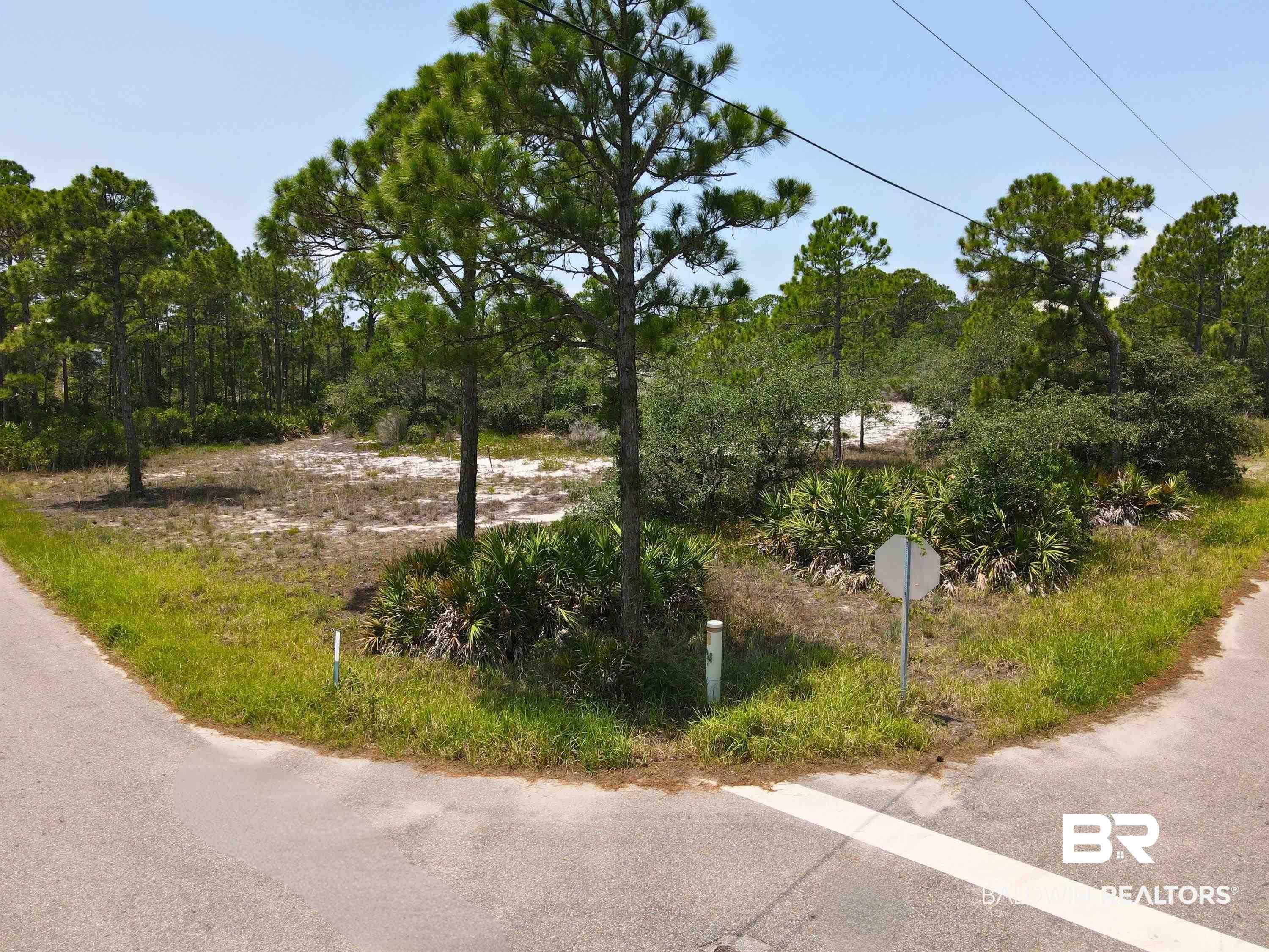 Image 3: corner lot