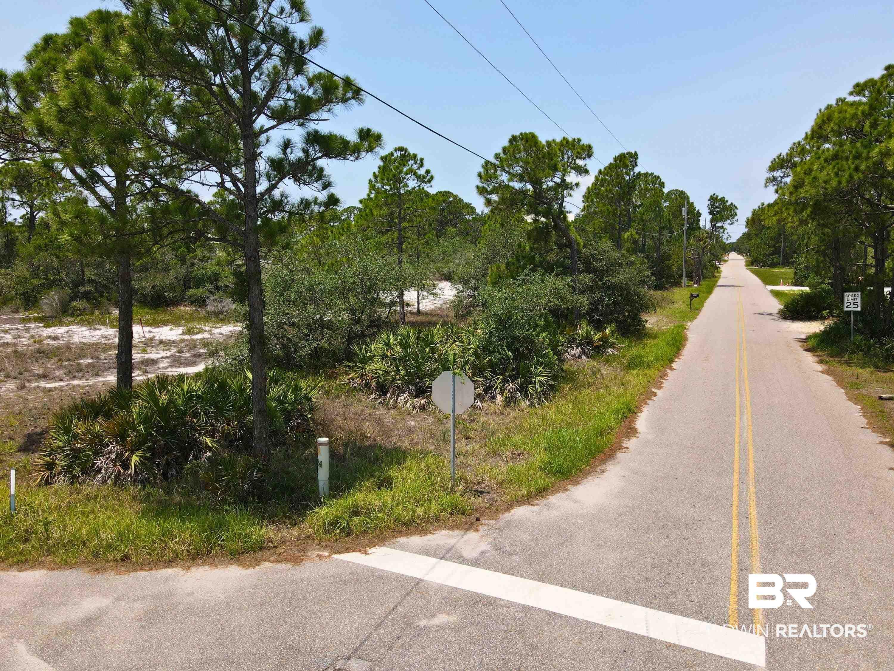 Image 4: Corner Looking down Palmetto