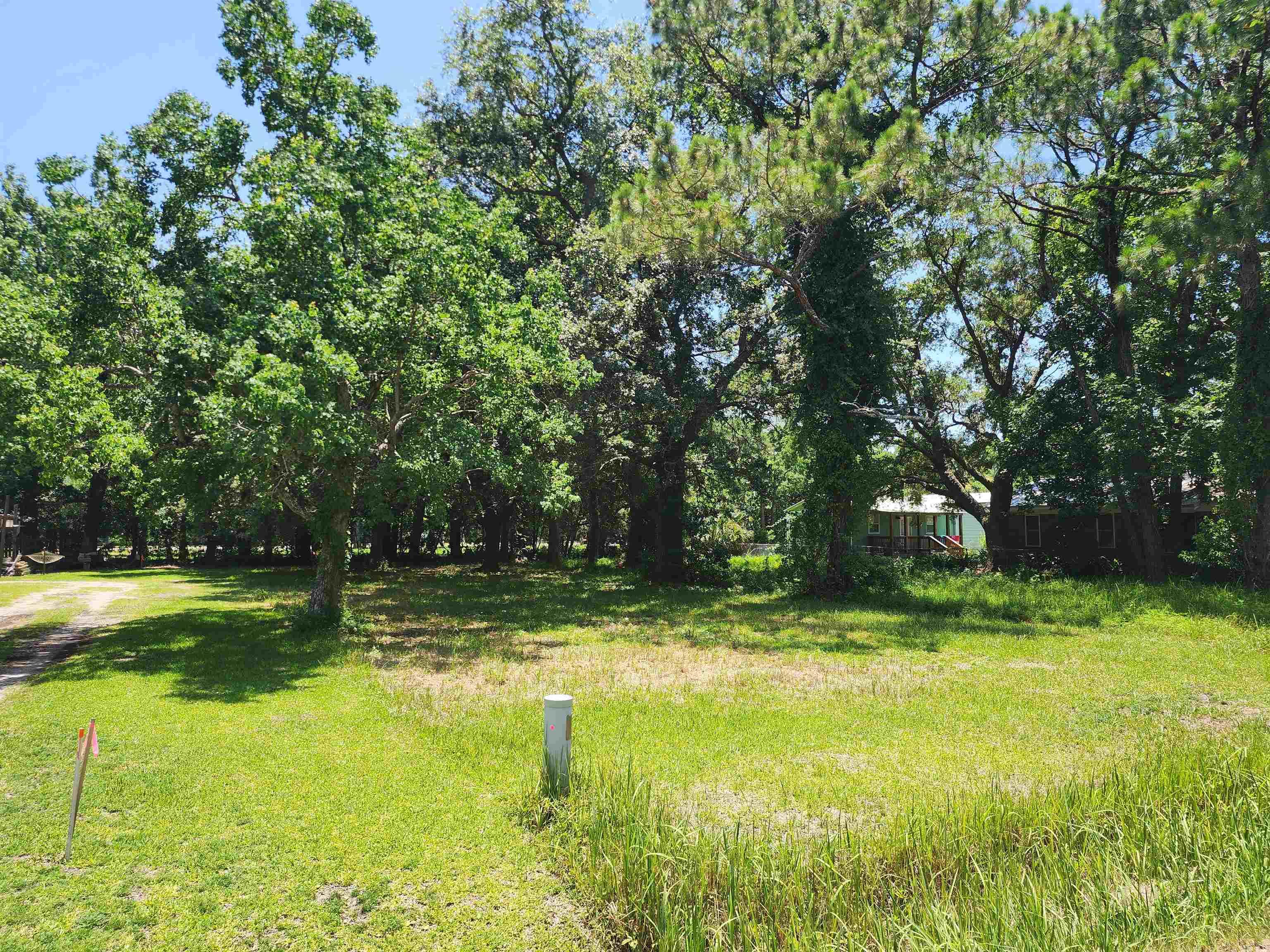 Image 2: View of yard