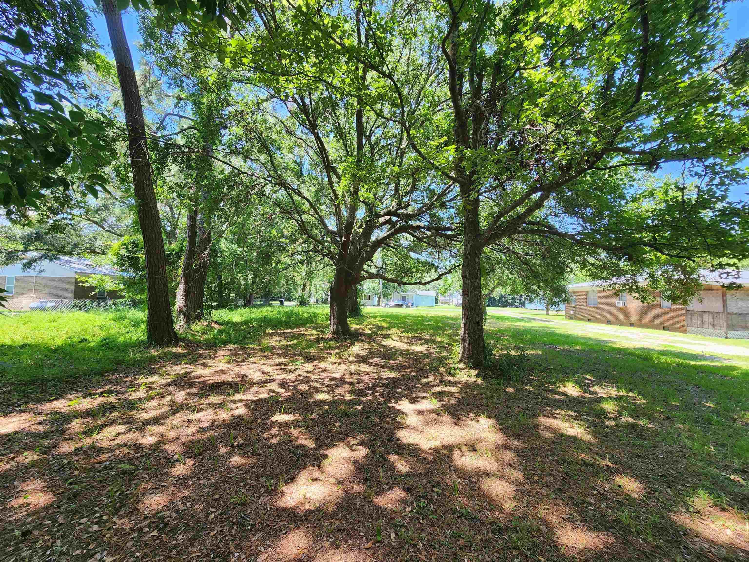 Image 3: View of grassy yard