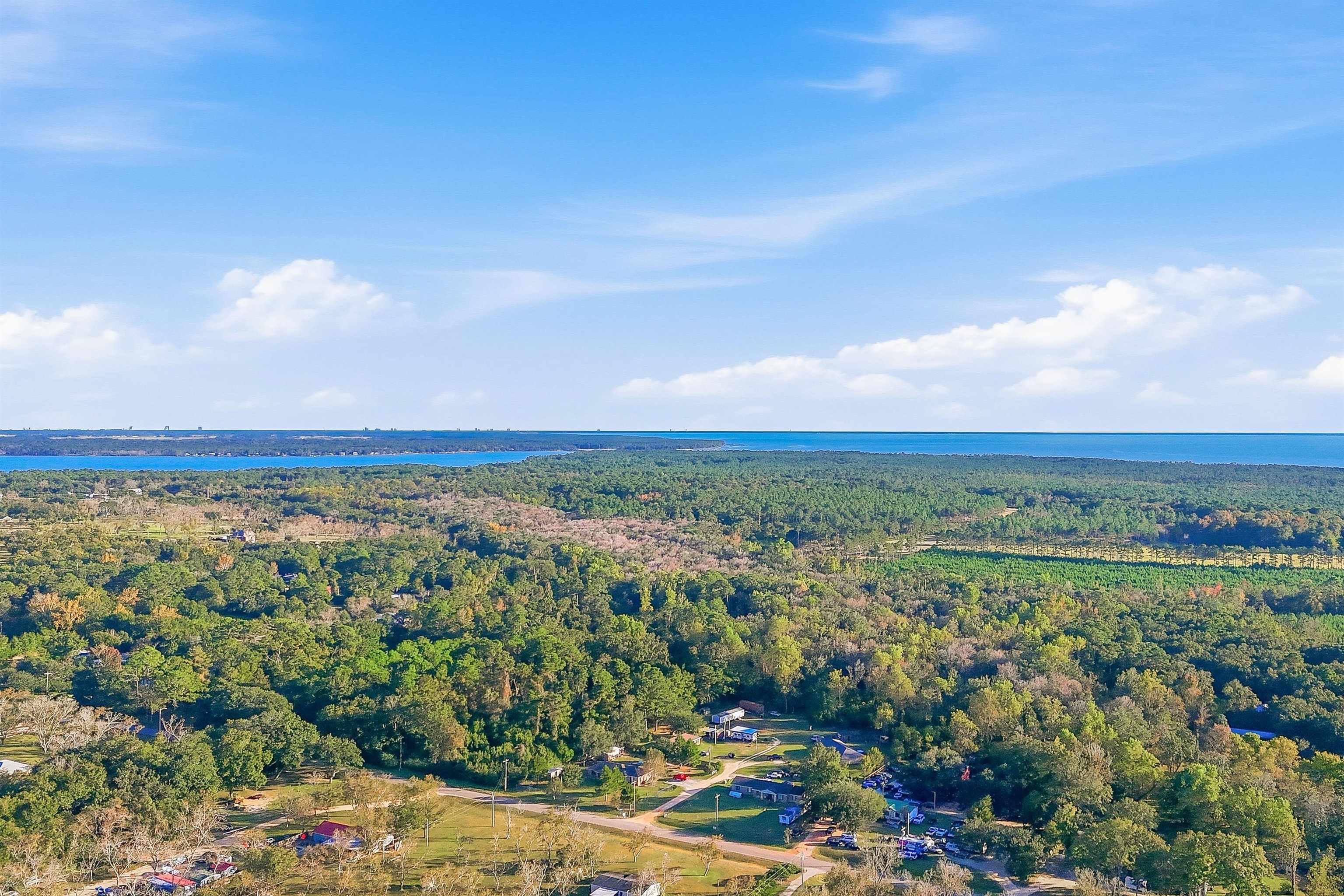 Image 3: Aerial overview of property's location featuring a forest and a nearby body of water