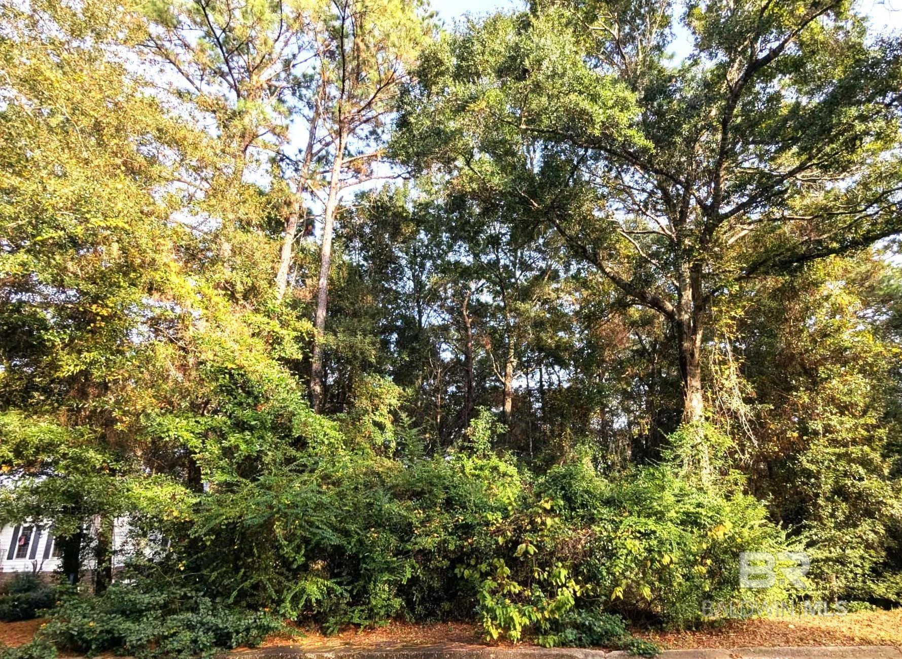 Image 2: Property