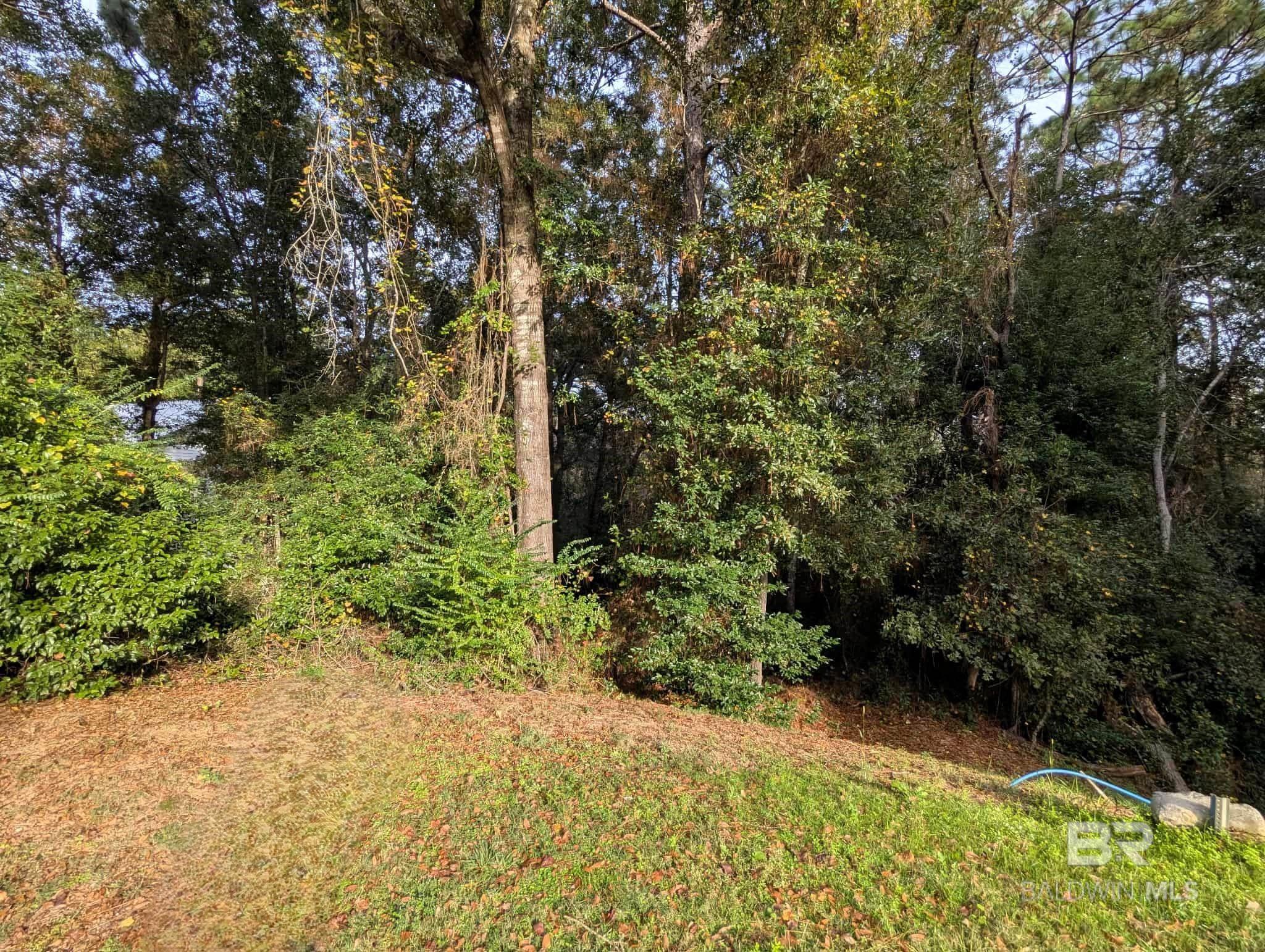 Image 4: Property
