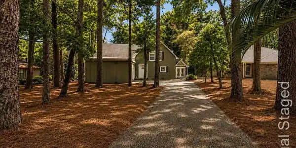 Image 3: Gravel driveway bordered by mature trees and pine straw landscaping