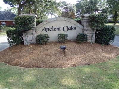 34 Ancient Oaks Circle