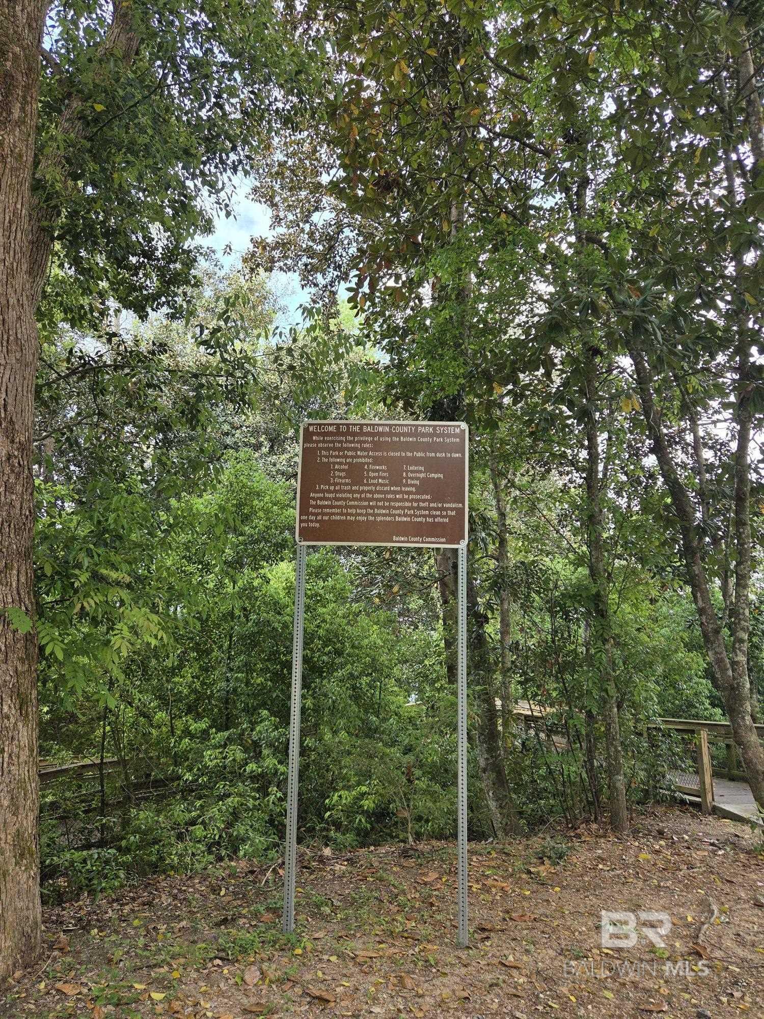 Image 4: Other