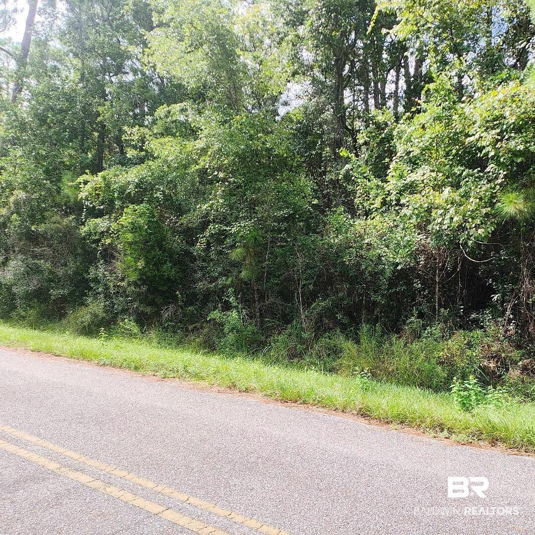 Image 2: View of asphalt road