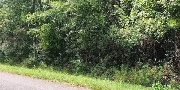 Image 2: View of asphalt road