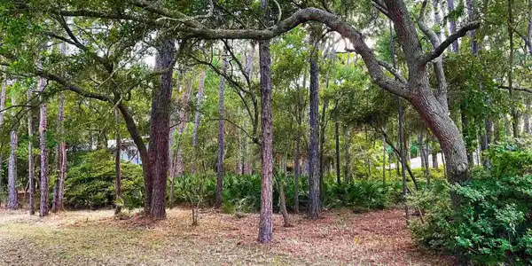 1001 McIntosh Place