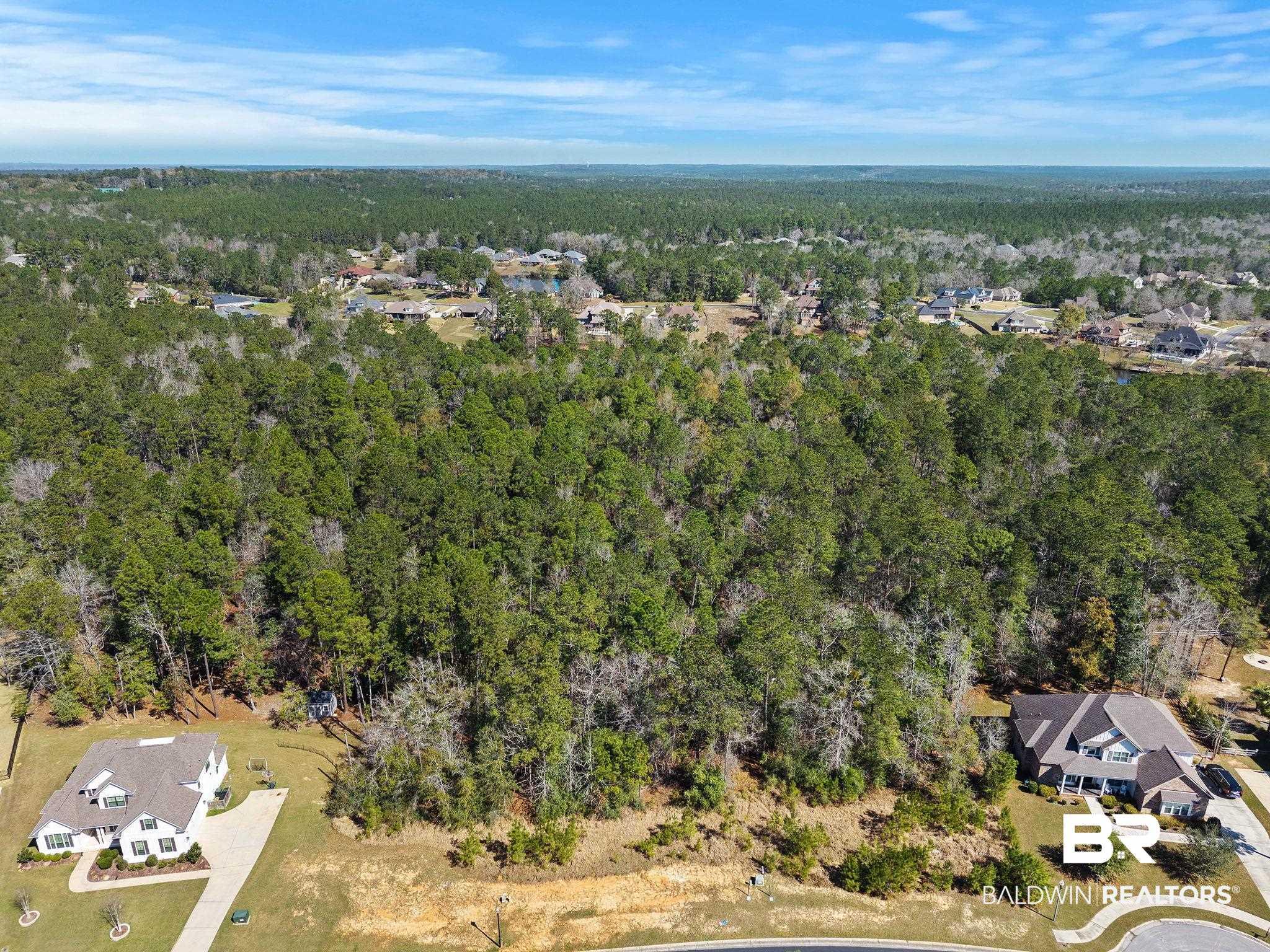 Image 4: Bird's eye view of a forest