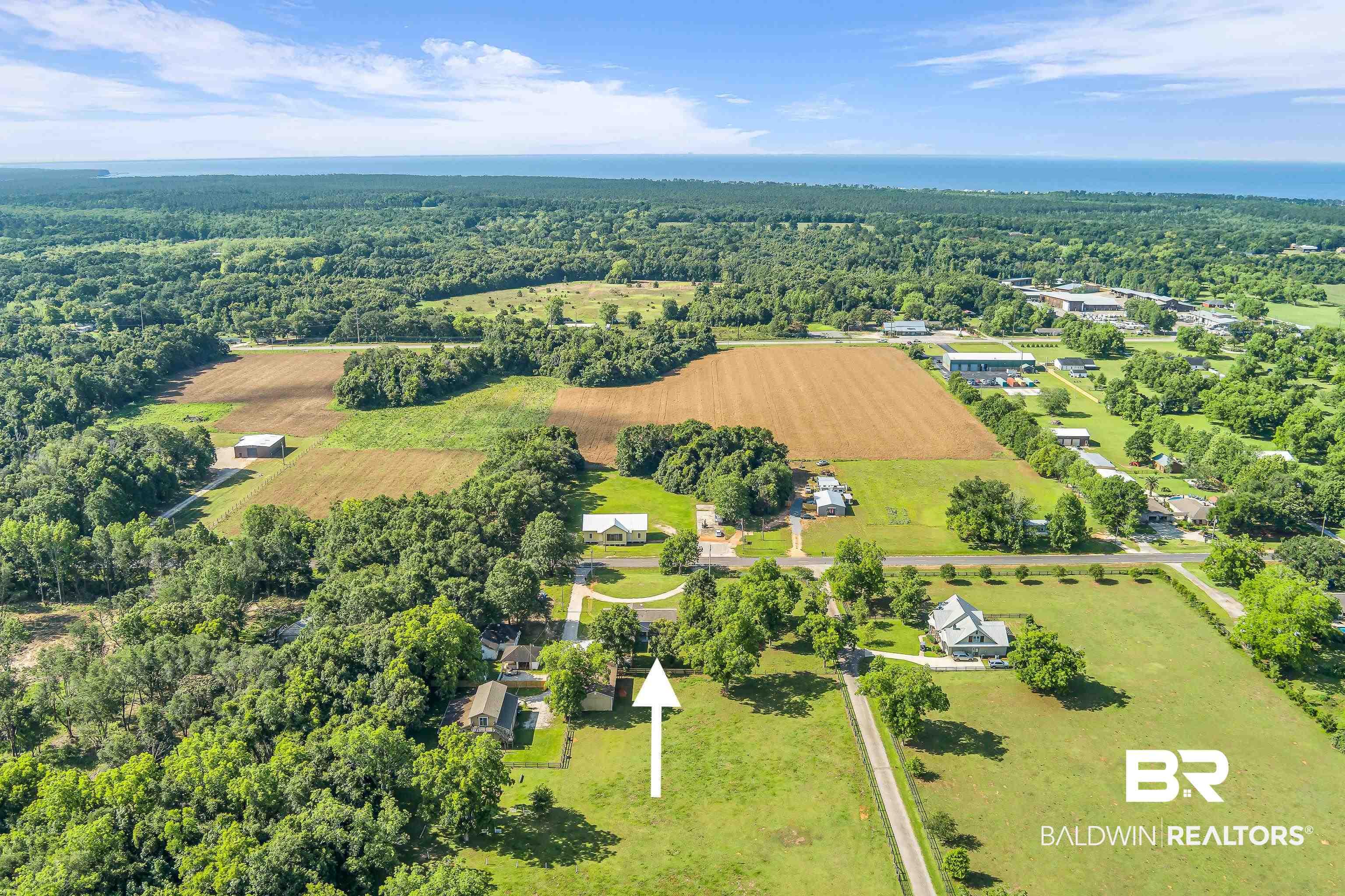 Image 4: Expansive property surrounded by mature trees and verdant fields
