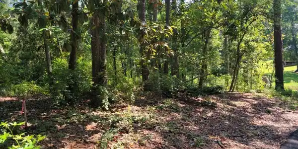 175 Greenwood Drive