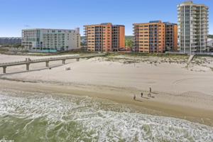 26072 Perdido Beach Blvd