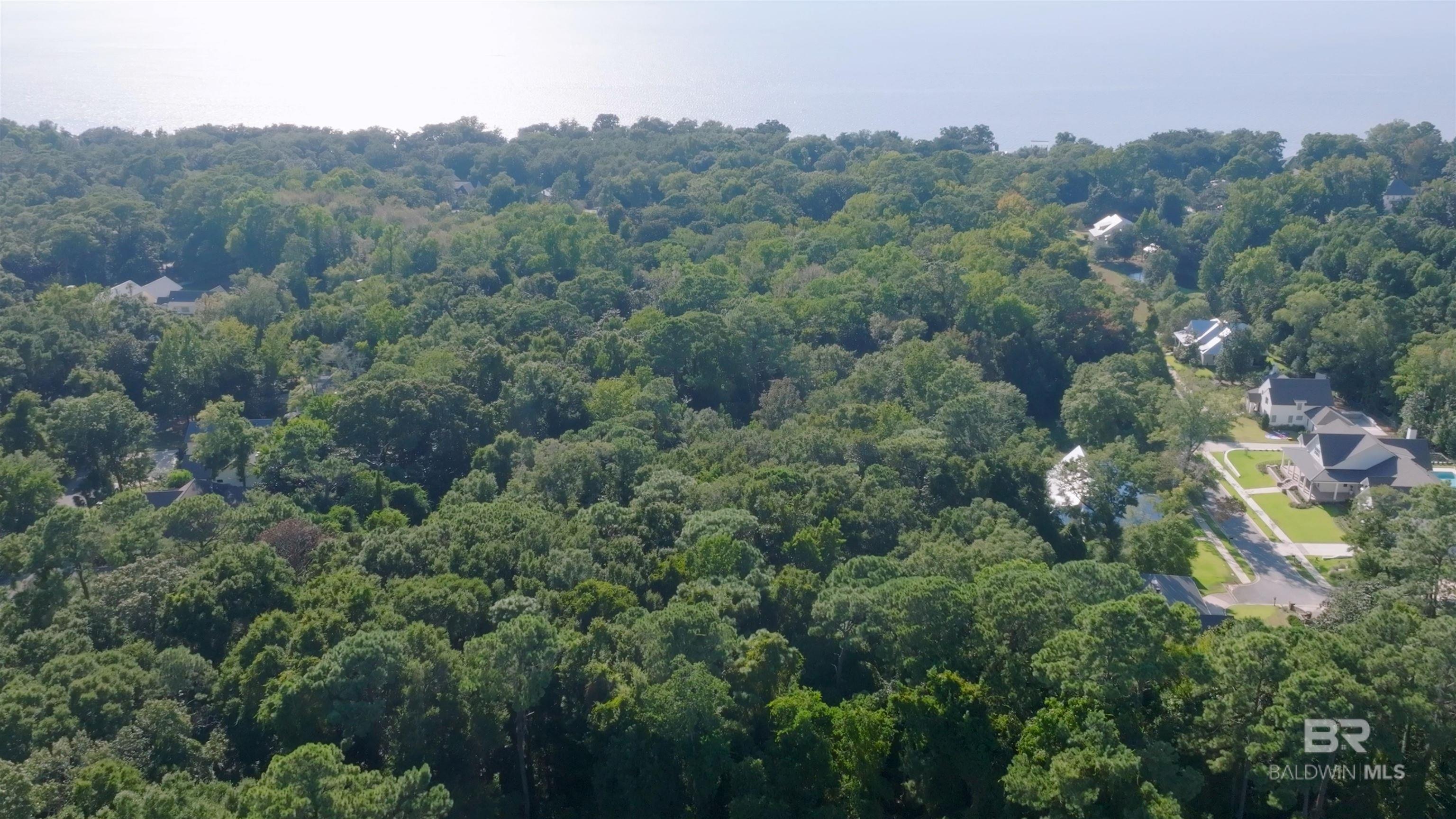 Image 3: Aerial View