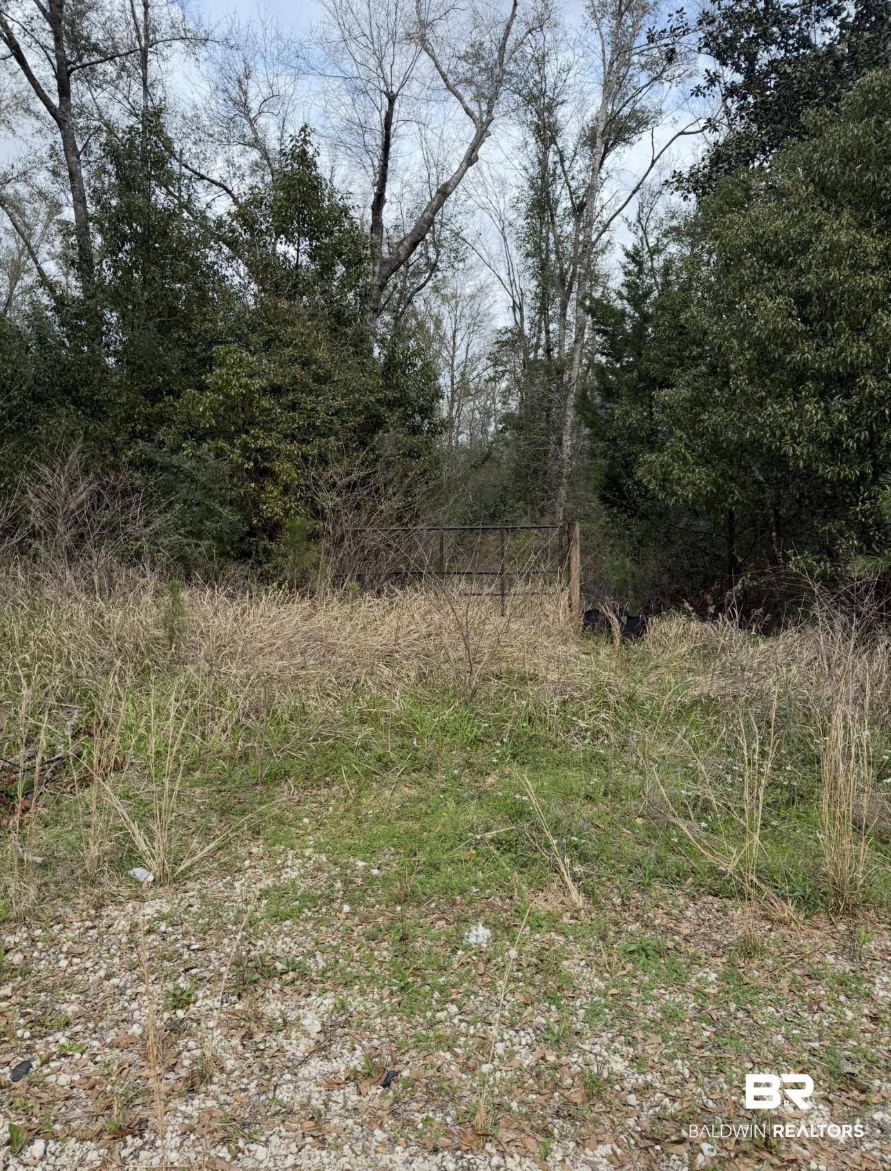 Image 2: View of local wilderness