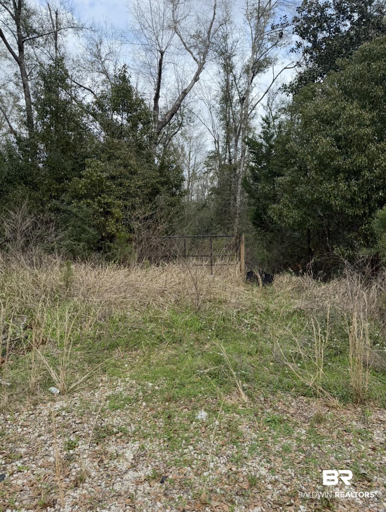 Image 3: View of landscape
