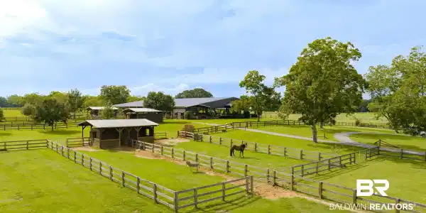 Image 3: View of stable