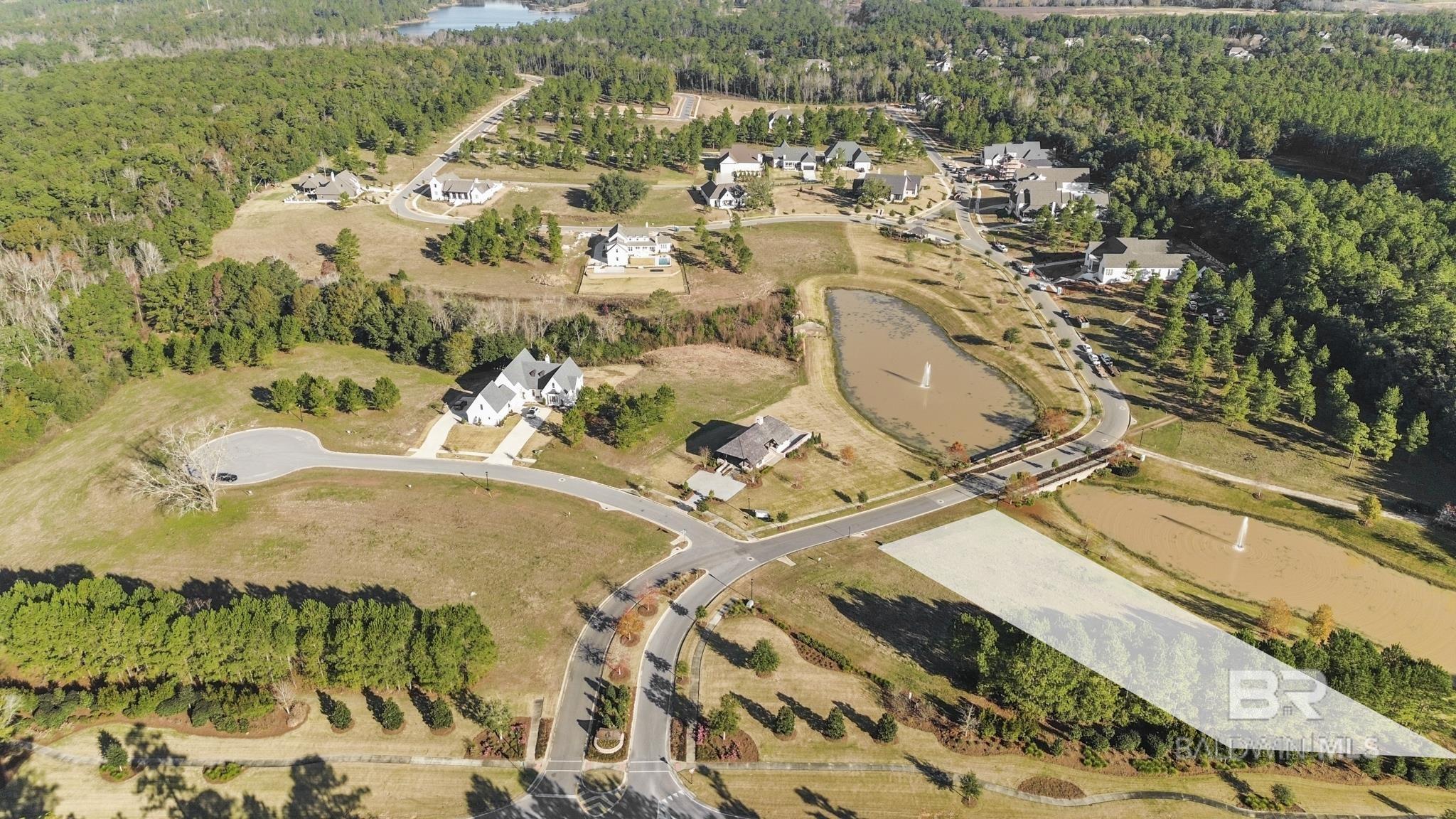 Image 3: Lot 11