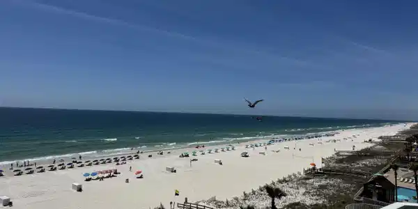 24114 Perdido Beach Boulevard