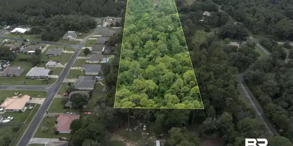 33003 Albert Hollon Lane