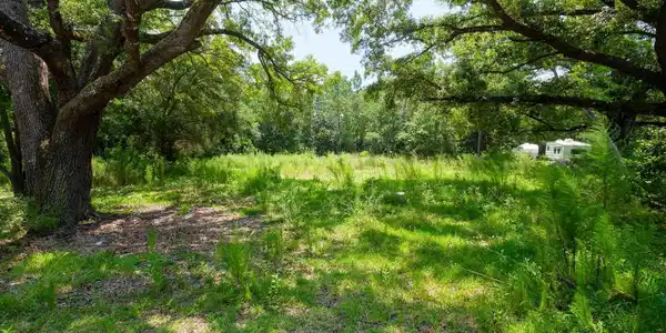 22190 Cotton Creek Drive