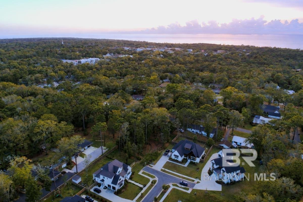 Image 2: Aerial View