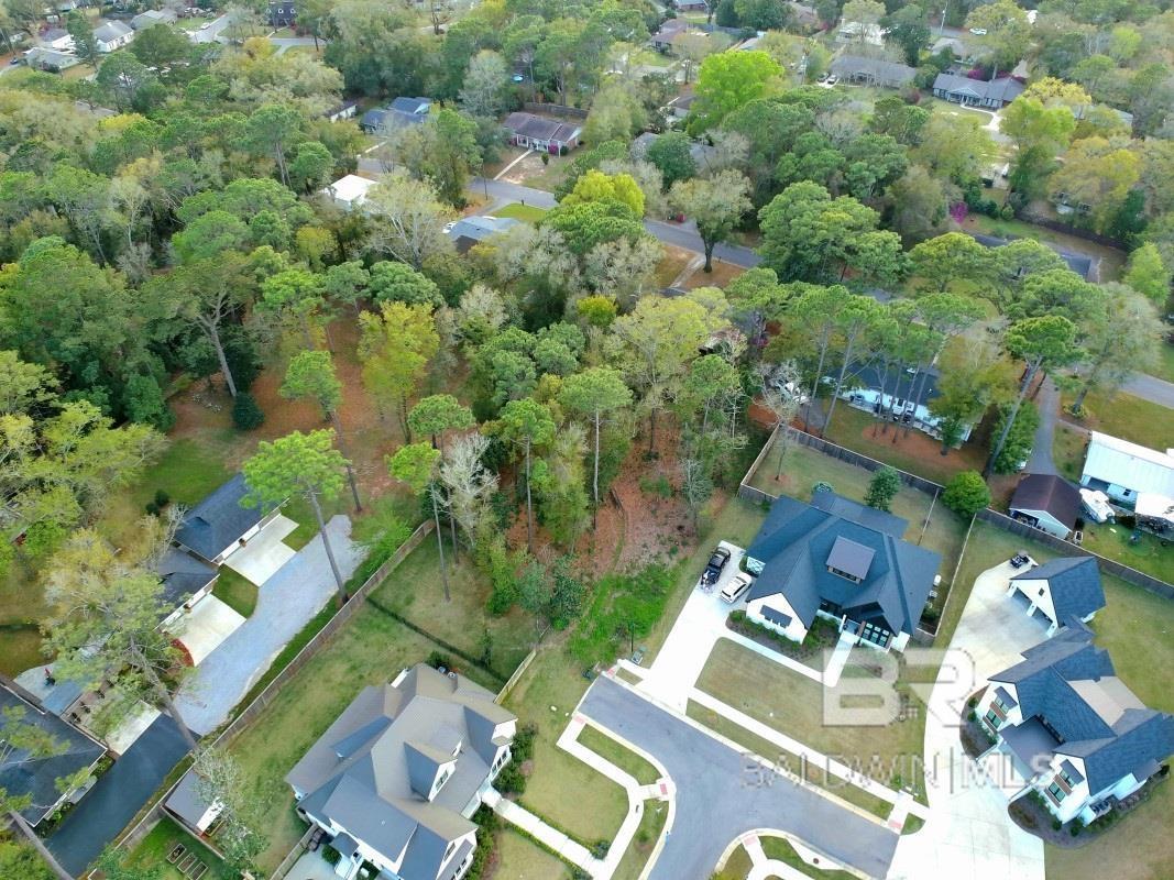 Image 4: Aerial View