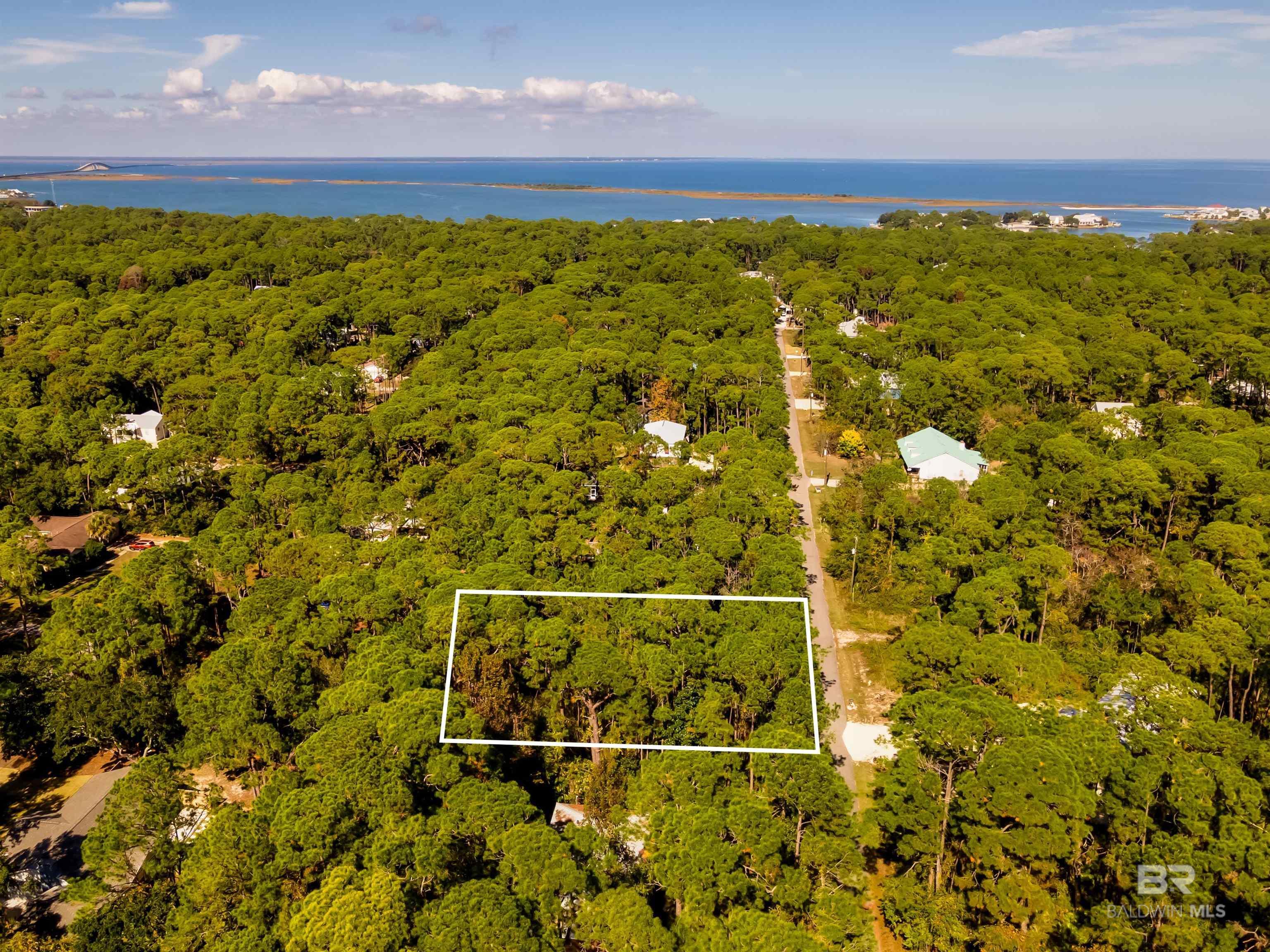 Image 2: Aerial View