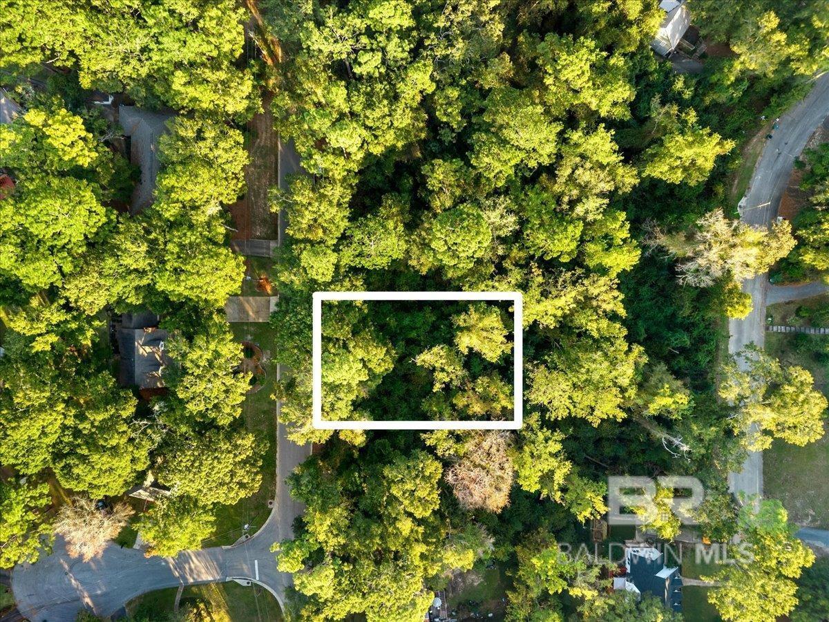 Image 1: Aerial View