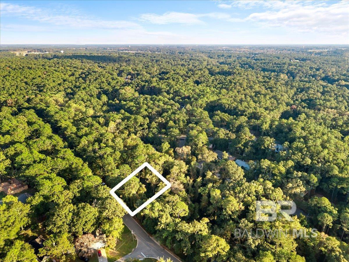 Image 2: Aerial View